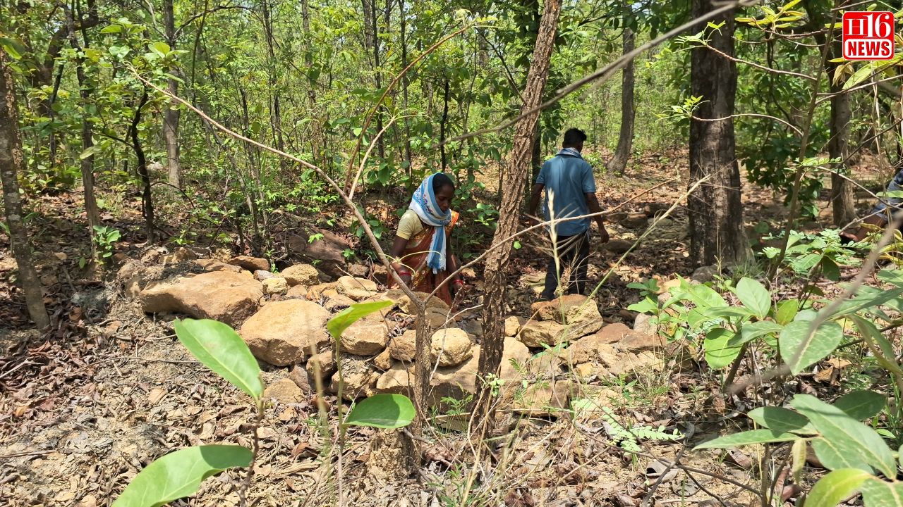 Jharkhand’s Green Saviour Mary Surin Who Quenches A Forest’s Thirst Creating 35 Patthar Dams